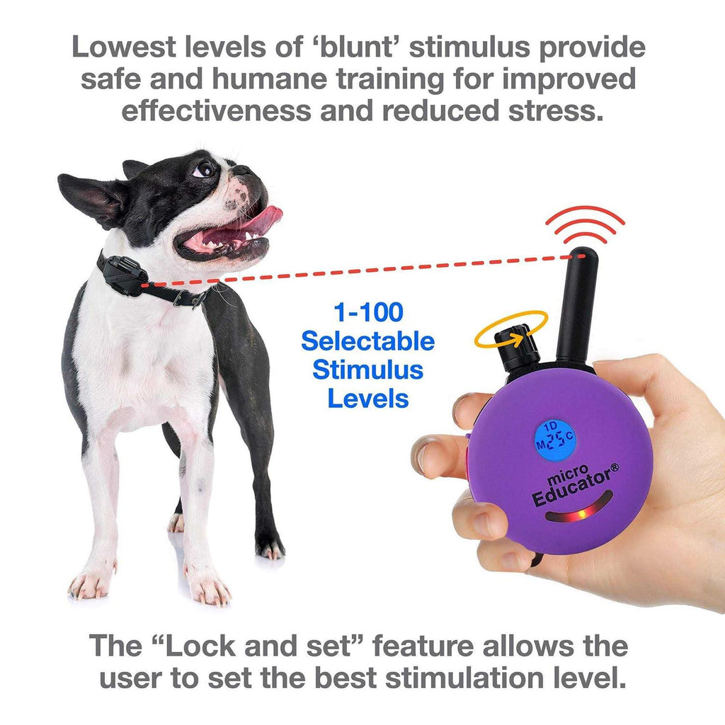 Remote Dog Training Collar R703