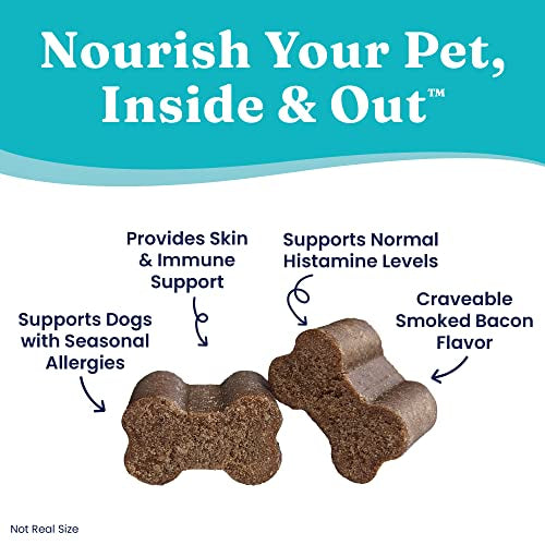 Salmon Oil Dog Allergy Chews 120ct A483129