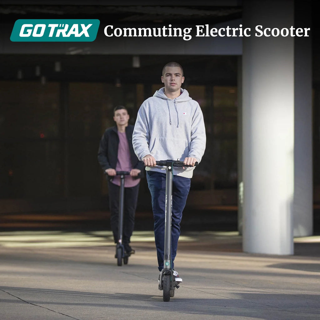 Gray 250W Foldable Electric Scooter R846