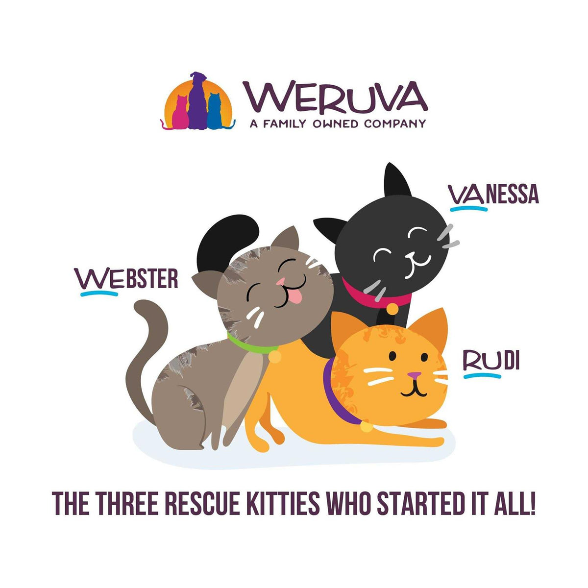 Wet Cat Food Pouches X297647