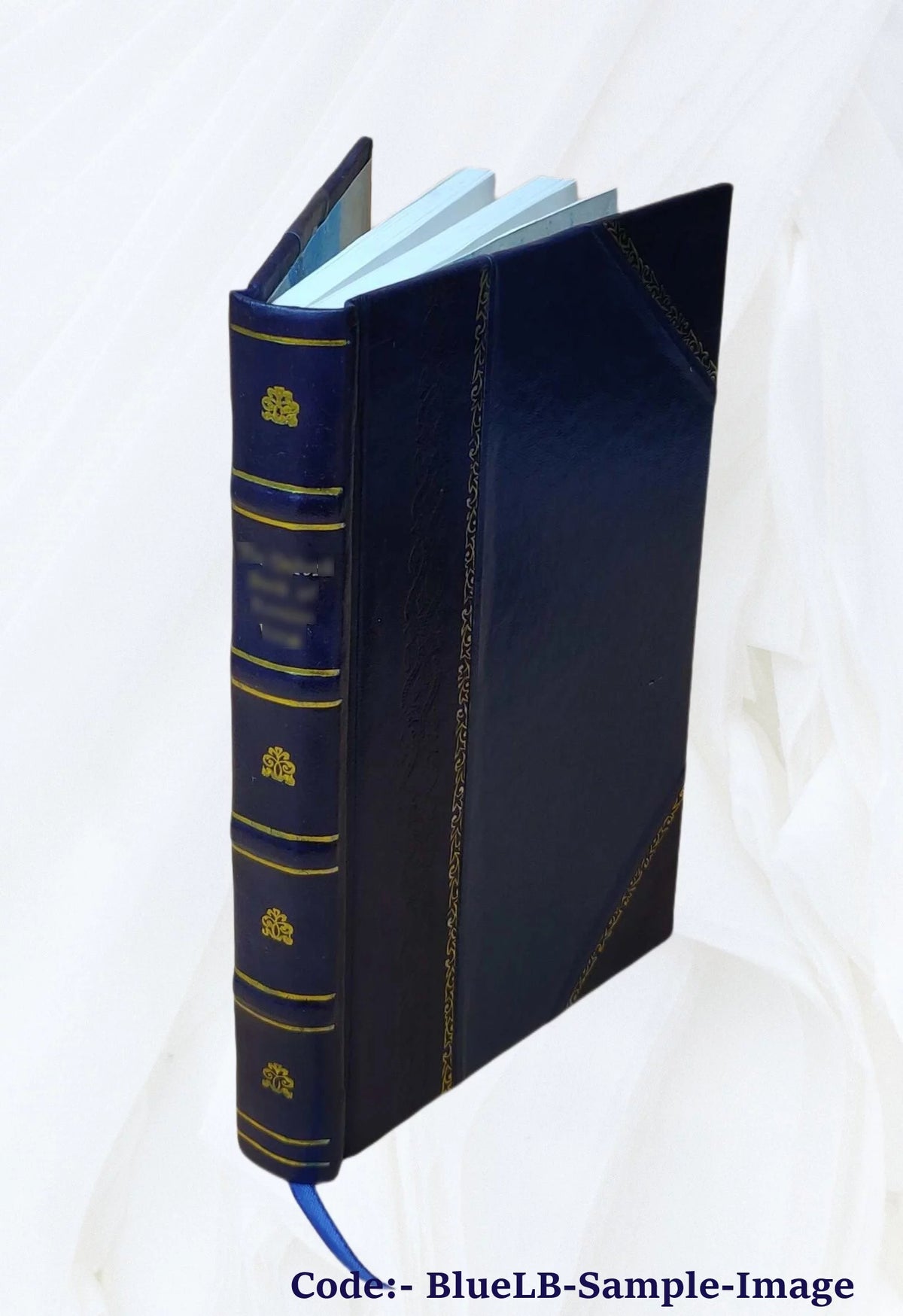 Leather Bound Book Q2683