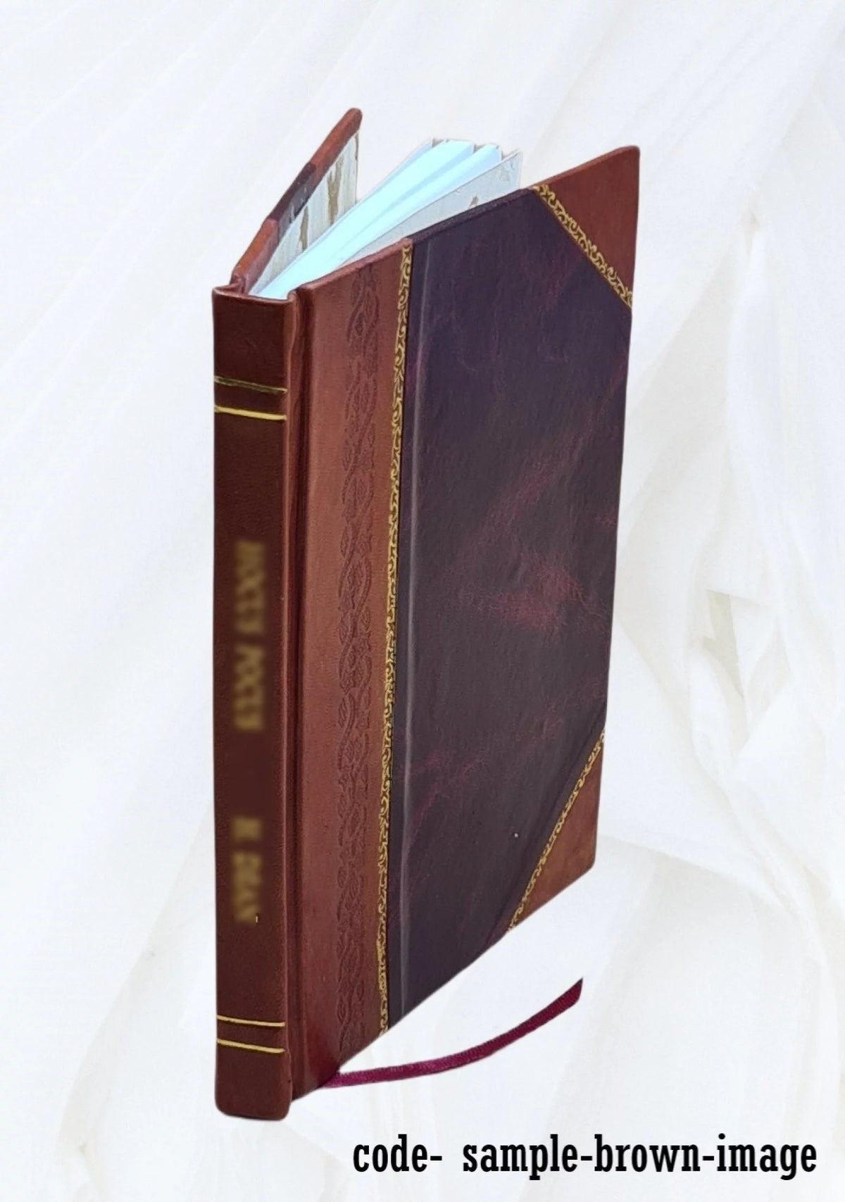 1907 Leather Bound U6807