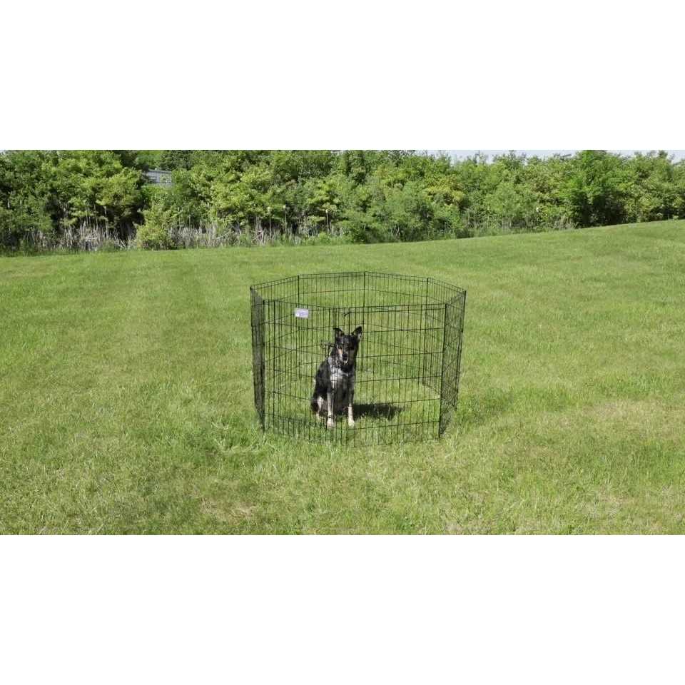 Black Exercise Pen with Door D32190