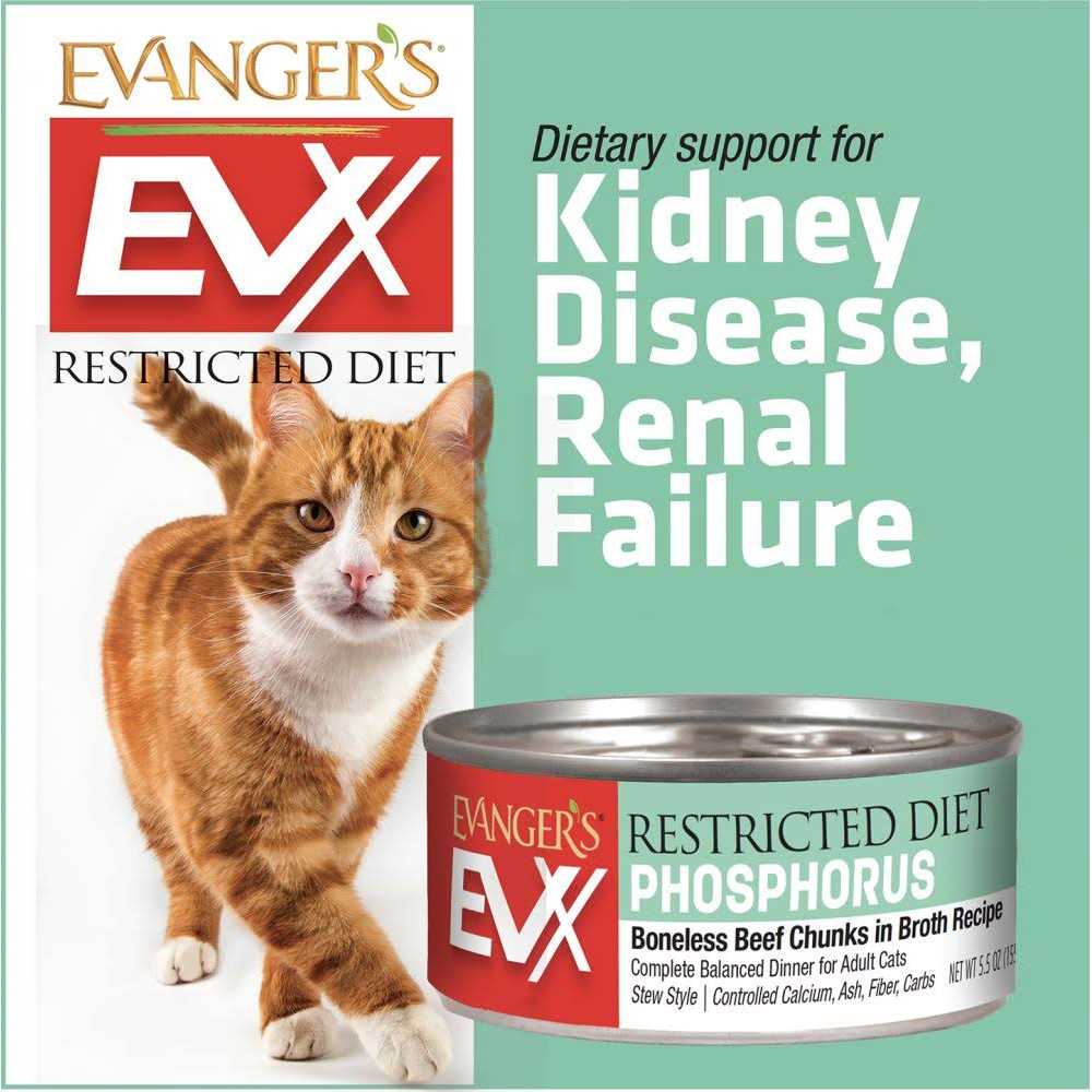 Beef Tips with Gravy Canned Cat Food G7083