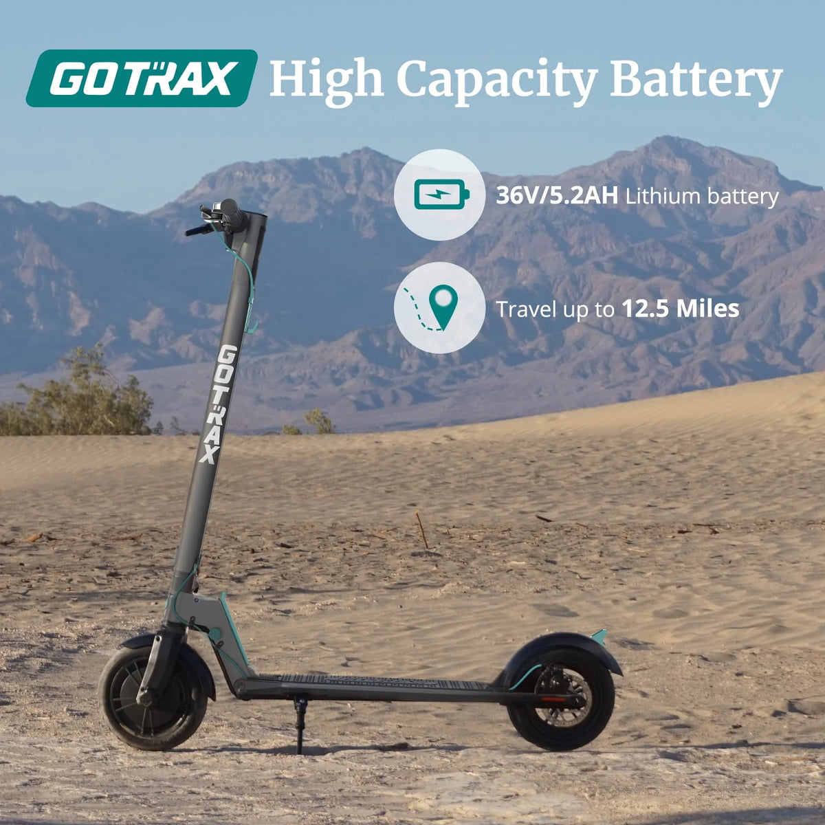 Gray 250W Foldable Electric Scooter R846