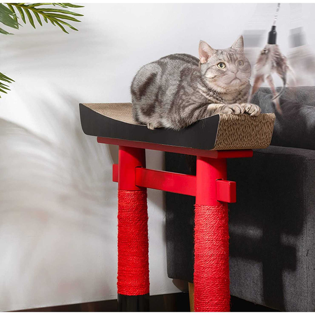 Retractable Cat Teaser Wand Toy with 8 Pcs Refills K961