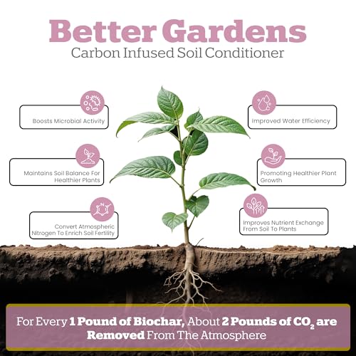 Biochar Indoor Potting Mix with Pine Bark and Worm Casting 2 Quart N236814