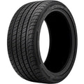 All Season 255/45R19 104W XL Passenger Tire C6539