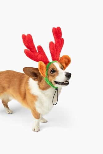 Christmas Reindeer Antlers with Ears for Large Dogs Q73547