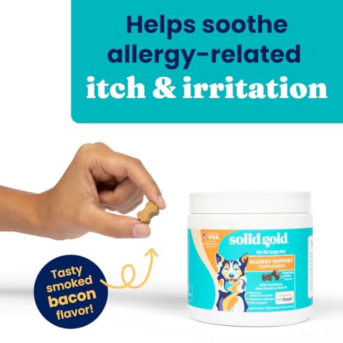 Salmon Oil Dog Allergy Chews 120ct A483129