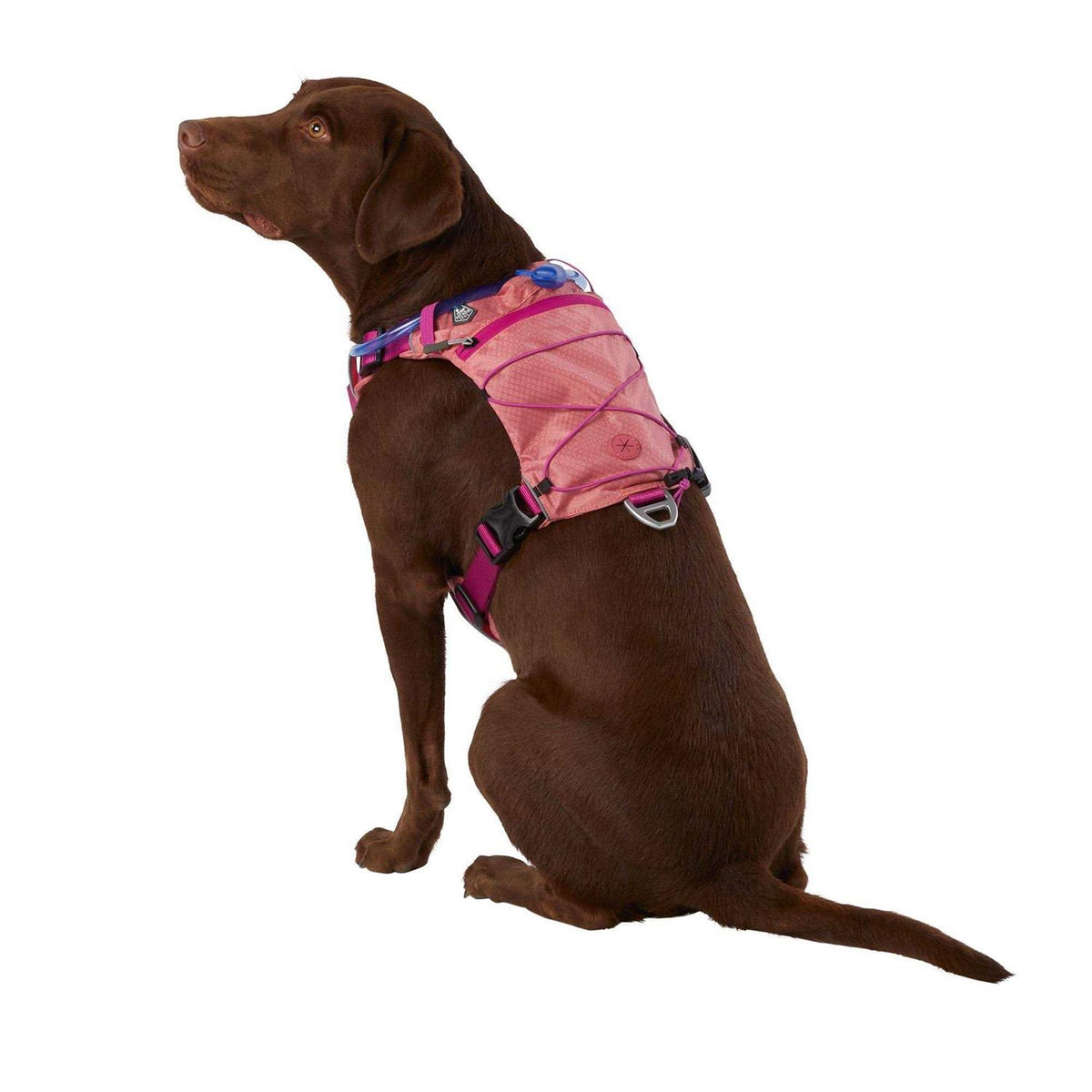 Dog Harness O90397