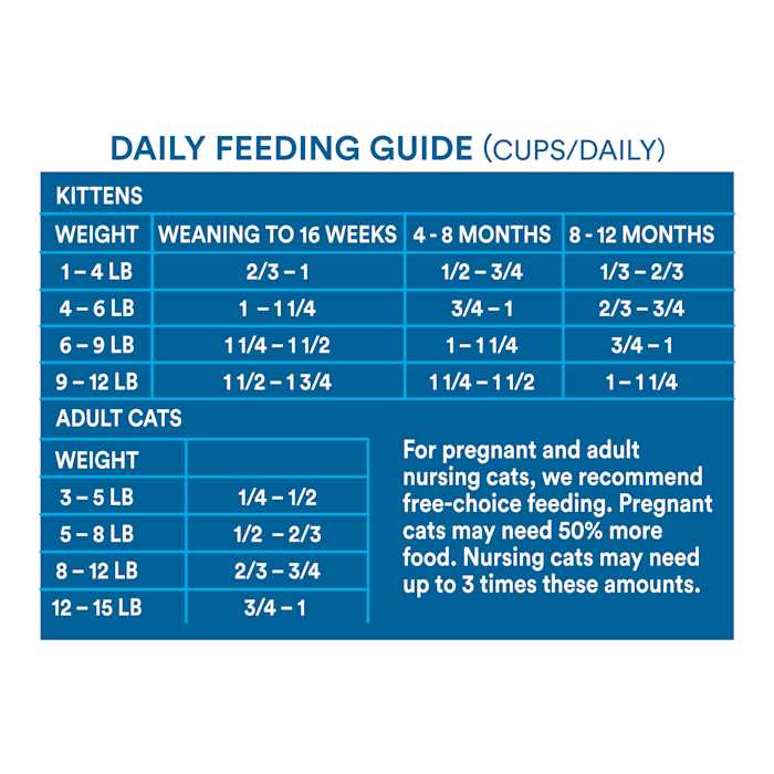 Grain Free Salmon Formula Dry Cat Food E5295