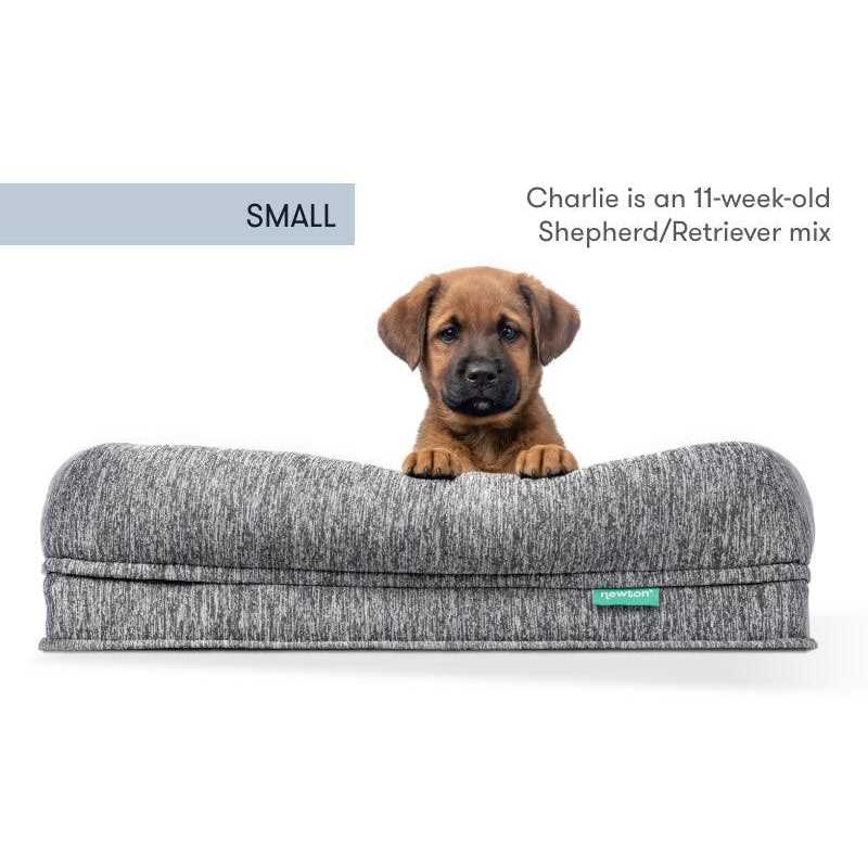 Washable Dog Bed K248231