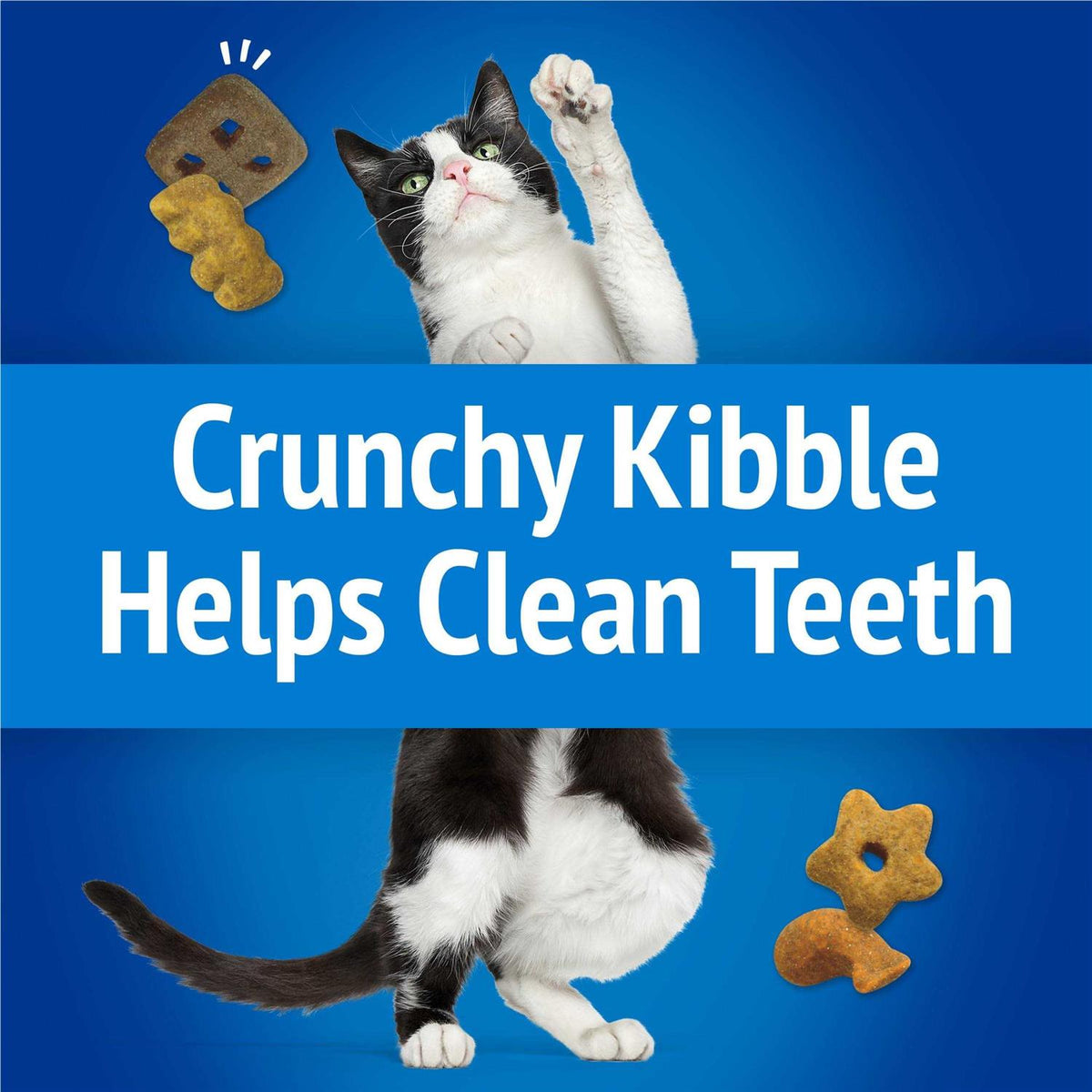 Cat Treats Party Mix Crunch J1859