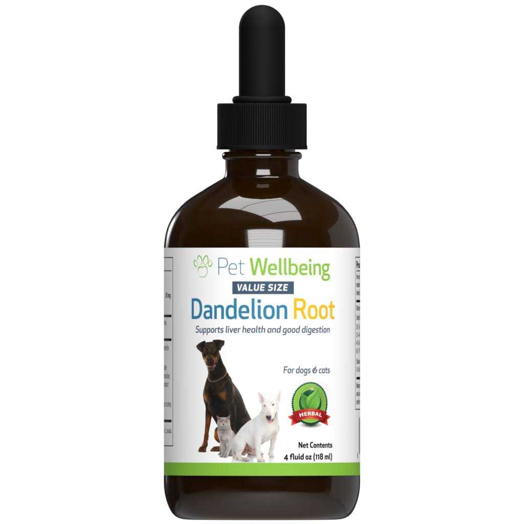 Dandelion Root Cat Liver and Digestive Support M429