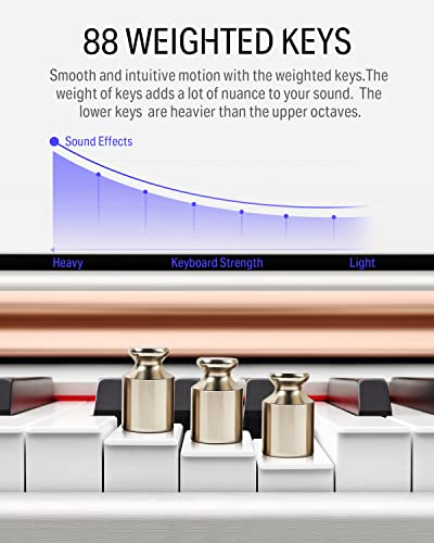 88-Key Weighted Action Digital Piano with Furniture Stand P7591