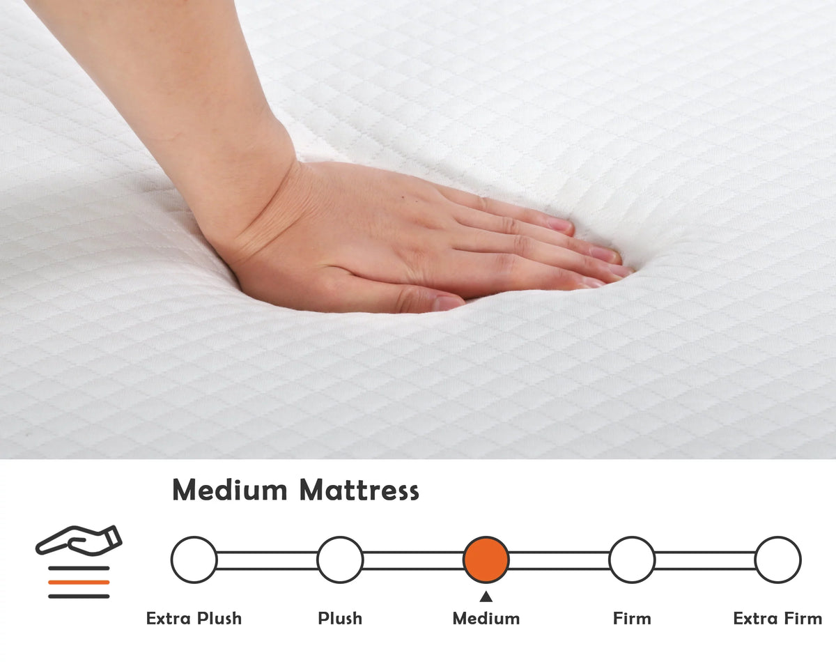 Twin Size Medium Firm Foam Mattress with Cover T375138