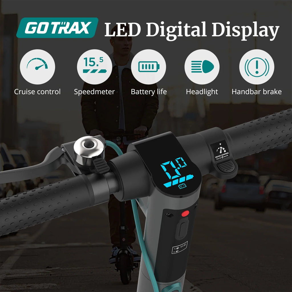 Gray 250W Foldable Electric Scooter R846