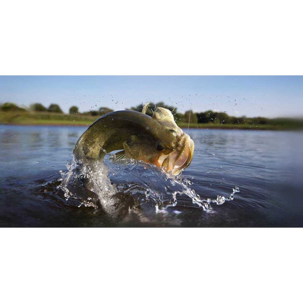 Game Fish Chow E95341