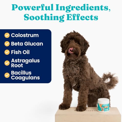 Salmon Oil Dog Allergy Chews 120ct A483129