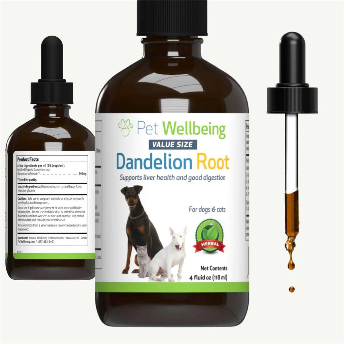 Dandelion Root Cat Liver and Digestive Support M429