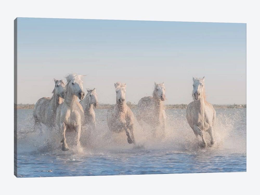 Canvas Wall Decor Prints L530137