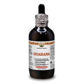 Guarana Dry Seed Liquid Extract 4 Fl.Oz X531