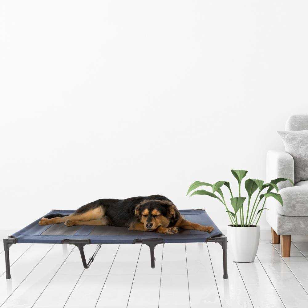 Cot-Style Elevated Pet Bed L941