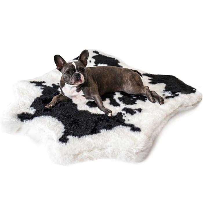 Animal Print Memory Foam Dog Bed X105848