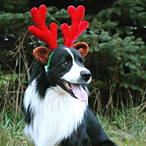 Christmas Reindeer Antlers with Ears for Large Dogs Q73547