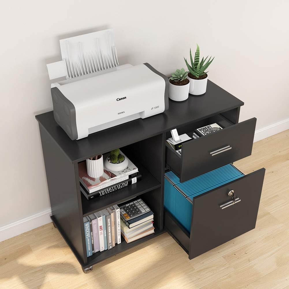 2 Drawer Mobile File Cabinet with Lock and Open Shelves Z242