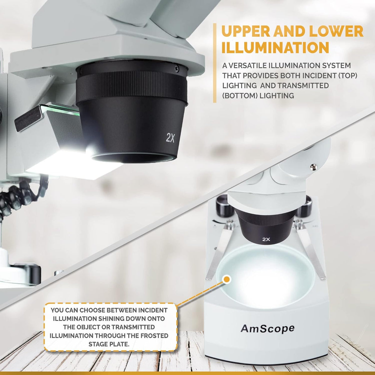 Binocular Stereo Microscope, WF10x Eyepieces, 20X and 40X Magnification T37545