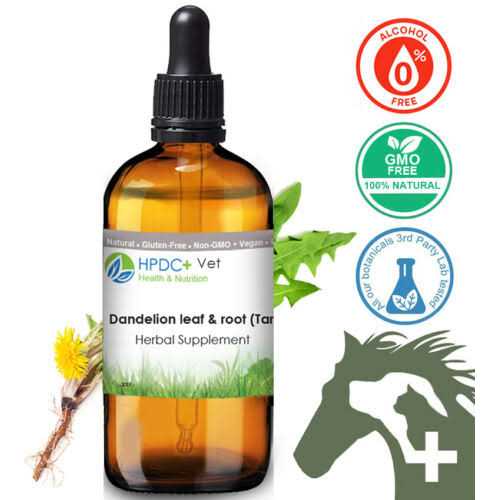 Dandelion Root Cat Liver and Digestive Support M429