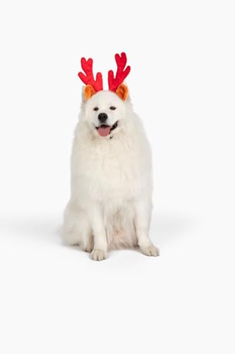 Christmas Reindeer Antlers with Ears for Large Dogs Q73547