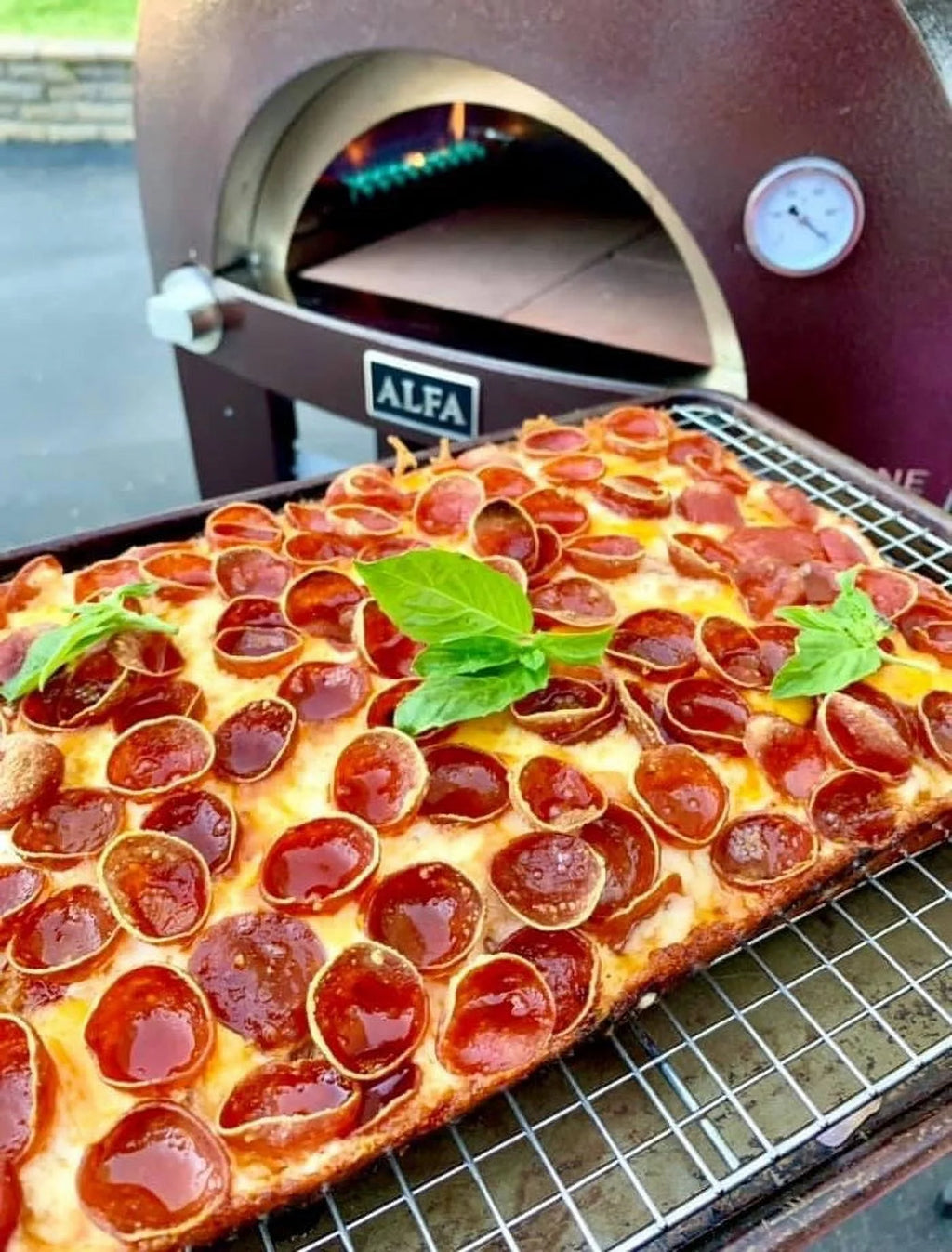 Gas or Wood Fire Hybrid Pizza Oven Y7492