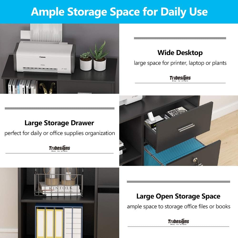 2 Drawer Mobile File Cabinet with Lock and Open Shelves Z242