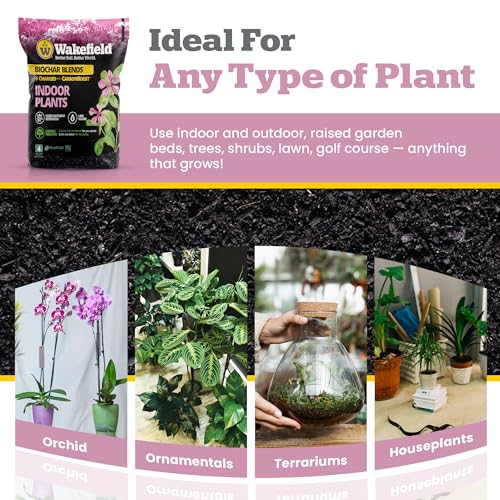Biochar Indoor Potting Mix with Pine Bark and Worm Casting 2 Quart N236814