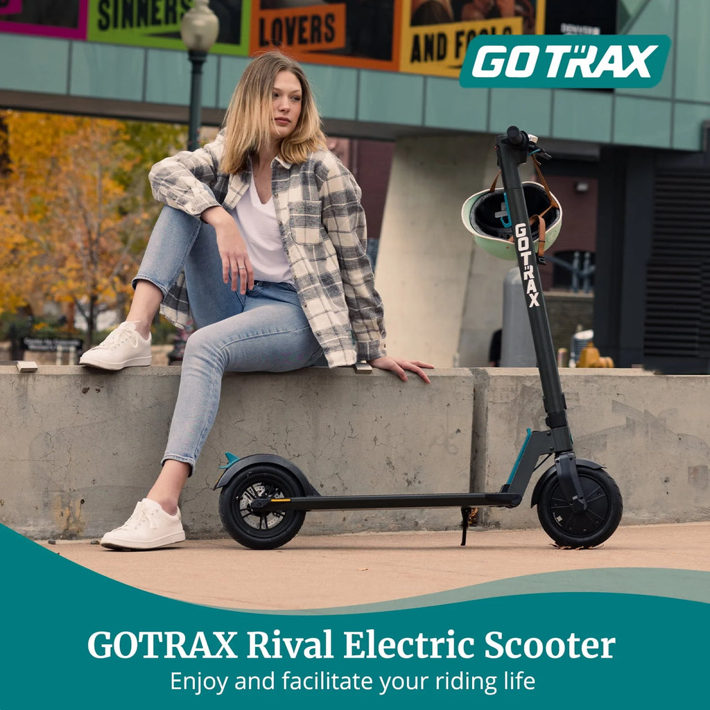 Gray 250W Foldable Electric Scooter R846