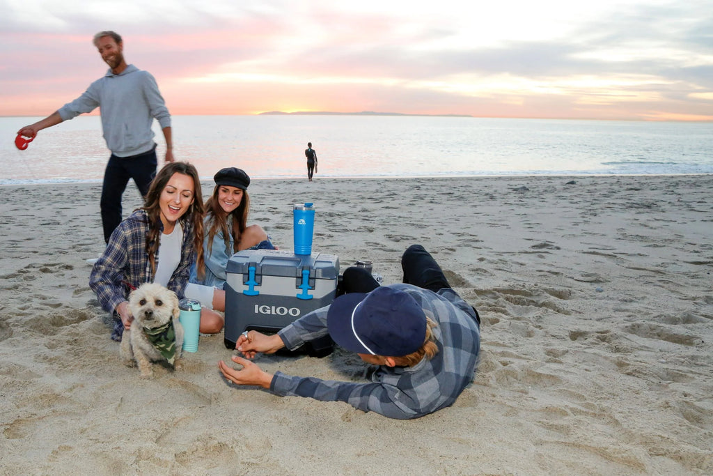 25 Quart Insulated Cooler W769