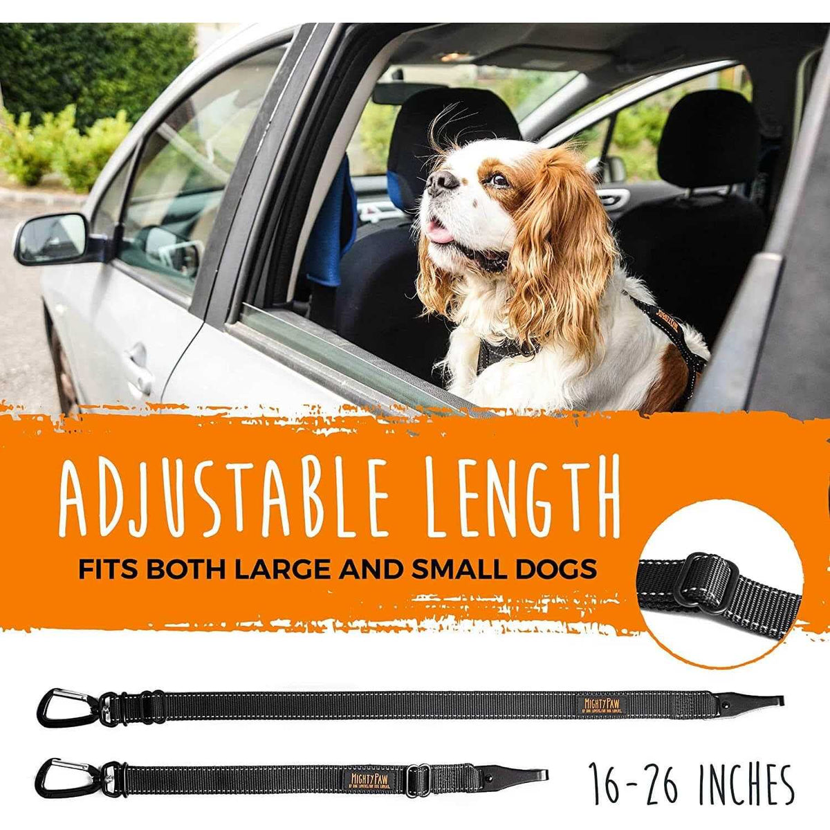 Dog Seat Belt X16944
