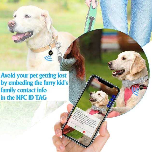 Remote Training Collar for Dogs X9826
