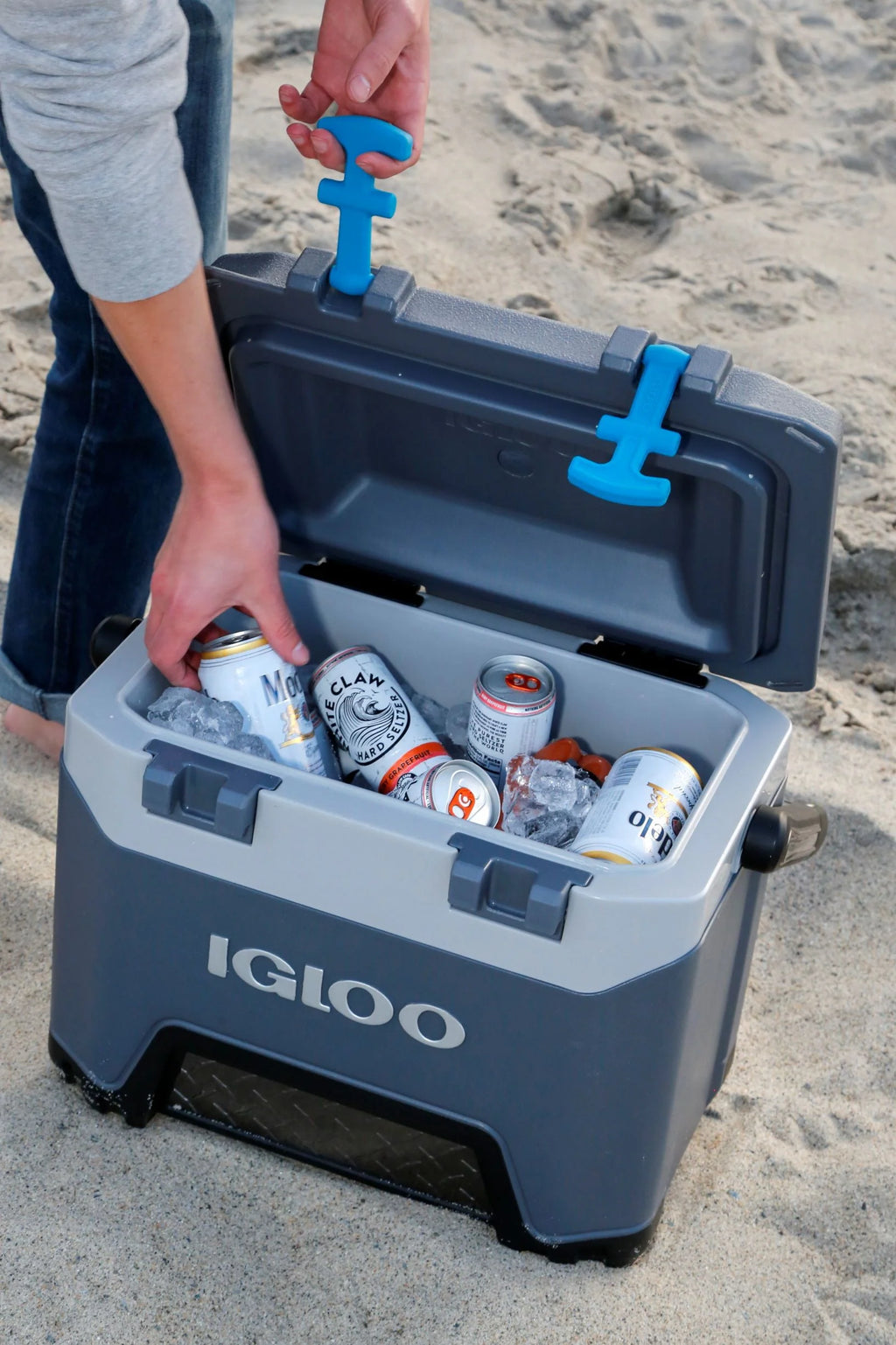 25 Quart Insulated Cooler W769