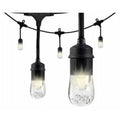 48 ft. LED Cafe Light Set V931