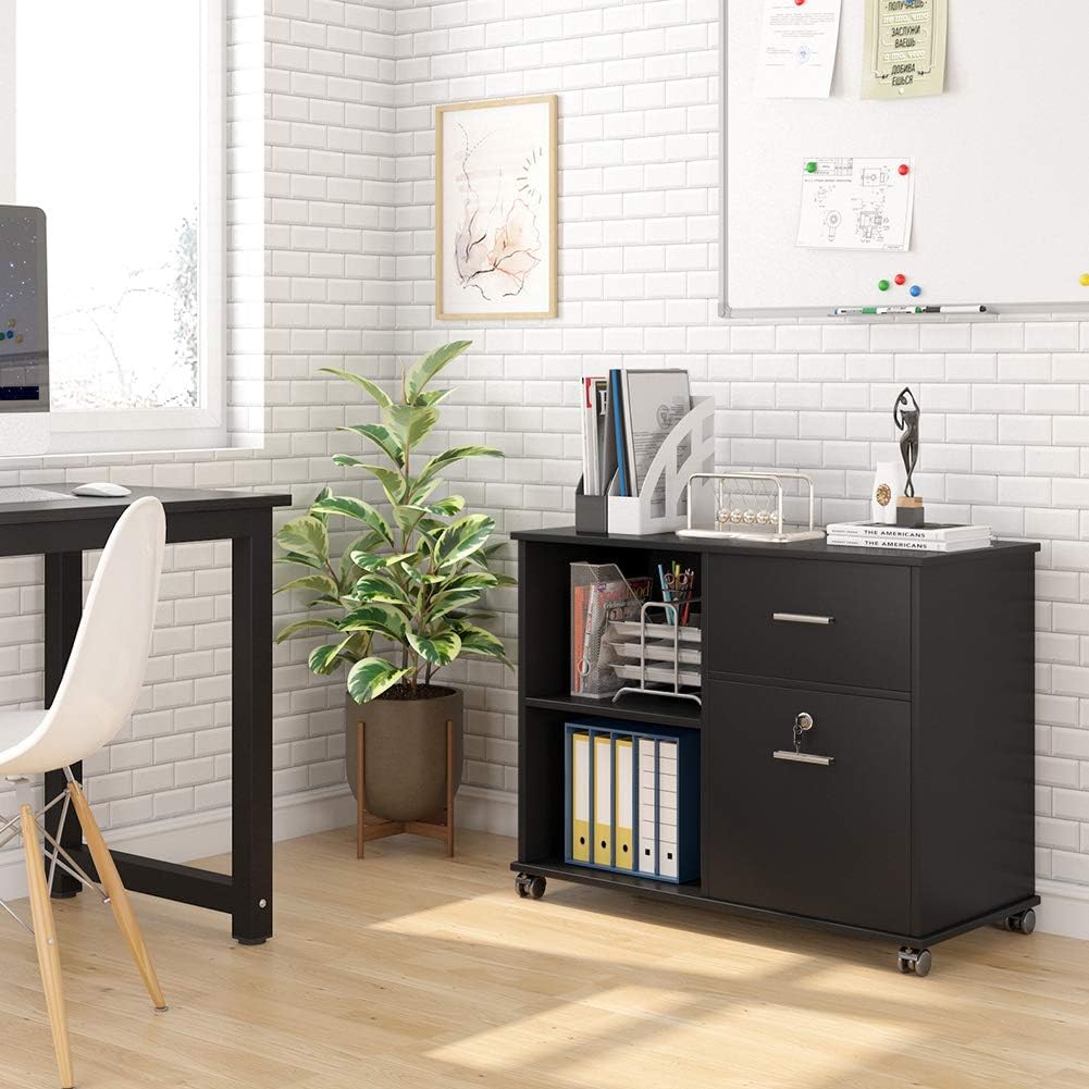 2 Drawer Mobile File Cabinet with Lock and Open Shelves Z242