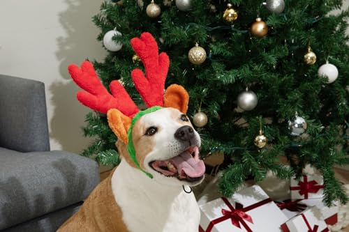 Christmas Reindeer Antlers with Ears for Large Dogs Q73547