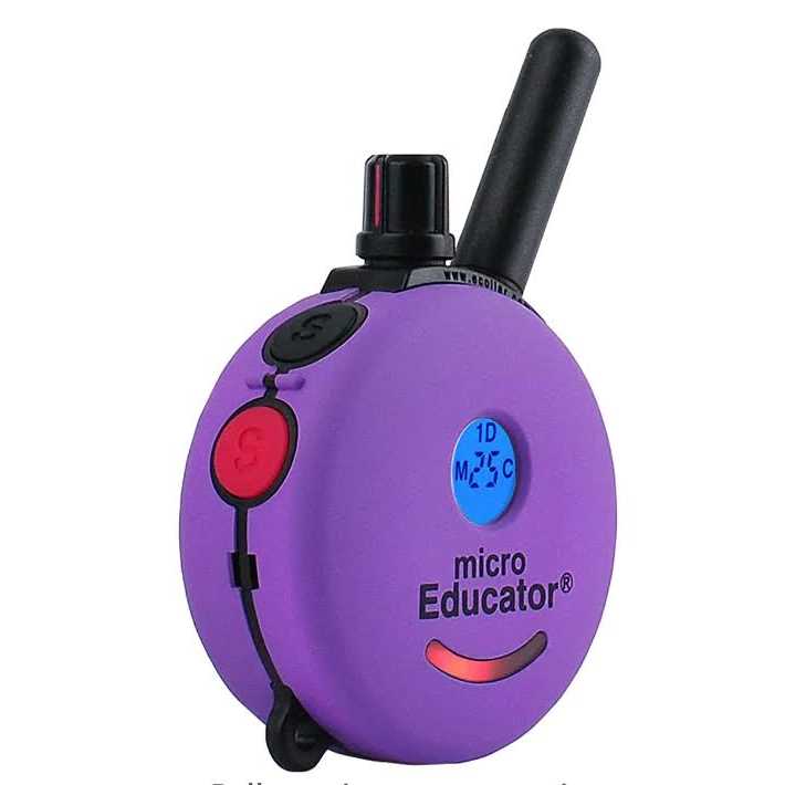 Remote Dog Training Collar R703