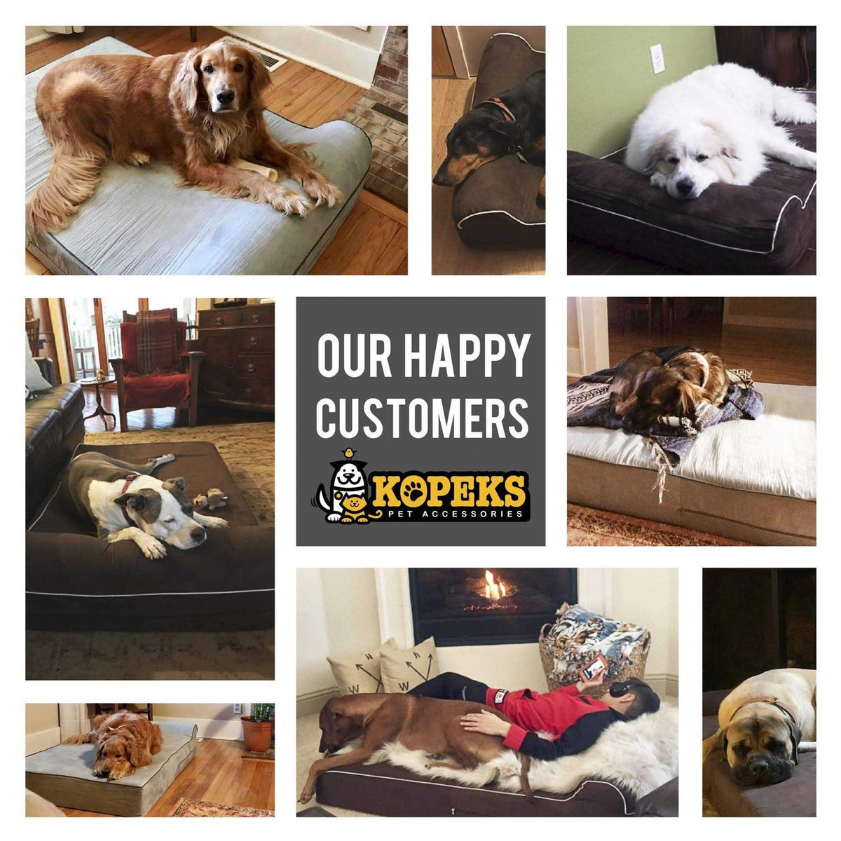 Dog Bed with Pillow Memory Foam Y69386