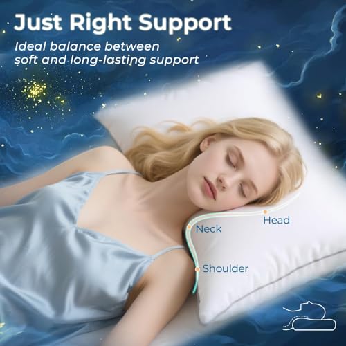 King Size Pillows Set of 4 Down Alternative B8589