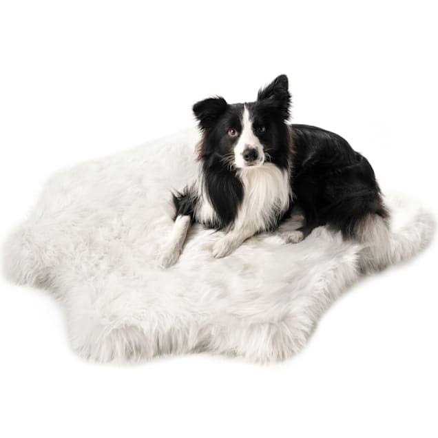 Animal Print Memory Foam Dog Bed X105848