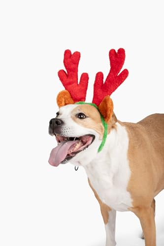 Christmas Reindeer Antlers with Ears for Large Dogs Q73547